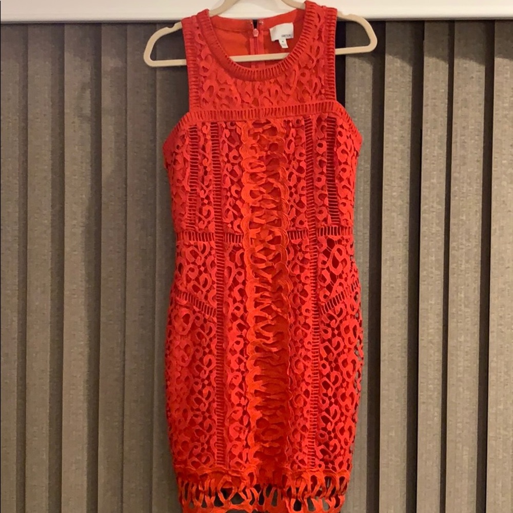 GREYLIN luxury designer dress SIZE MEDIUM (6/8)